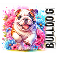 Animal Integration-DW 711